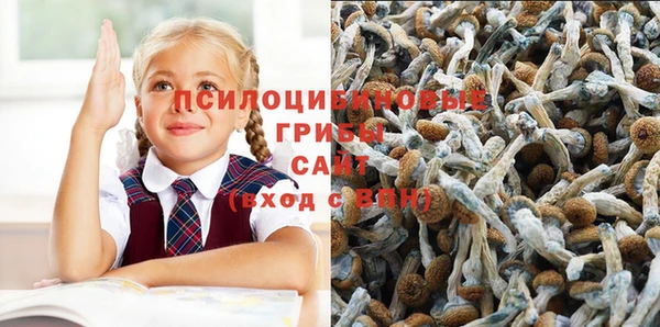 соль курить ск Алексин
