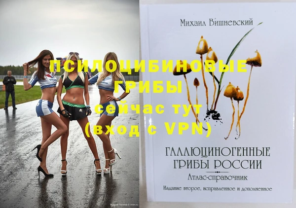 mdpv Алзамай
