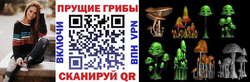 где найти   блэк спрут как зайти  Псилоцибиновые грибы мицелий  Чухлома 